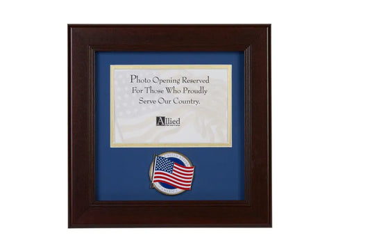 US American Flag Medallion, Allied Frame
