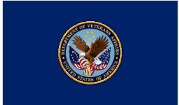 Department of Veterans Affairs, 3'x5', Nylon