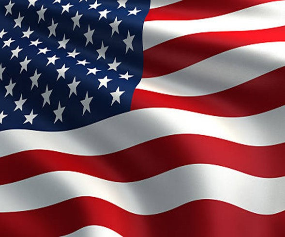 US Polyester Flag